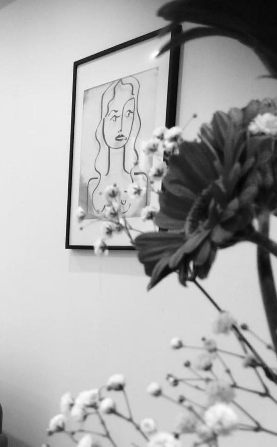 Appartamento Carnot Chic Carcassonne Esterno foto